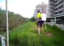 Continuen els tractaments rutinaris de control de plagues a Peníscola