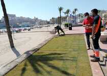 Avancen els treballs de millora de la jardineria en el Passeig Marítim de Peníscola després dels efectes de la borrasca Glòria