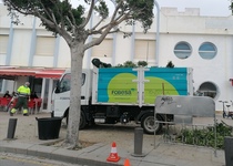 Peníscola realitza tasques de manteniment i embelliment dels espais públics