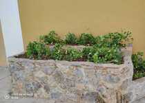 L'Ajuntament de Peníscola impulsa la millora de la jardineria en el municipi