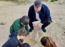 Escolars de Peníscola reforesten les dunes de la platja Nord per a reforçar la seua capacitat de contenció de temporals marítims 