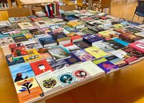 La Biblioteca Municipal de Peníscola suma 200 noves referències al seu fons bibliogràfic gràcies al Premi María Moliner