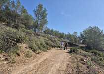 L'Ajuntament de Peníscola destina 70.000€ de recursos propis a la prevenció i mitigació del risc d'incendis forestals