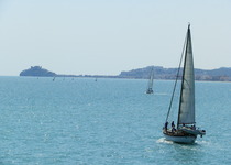 El Marina Benicarló guanya la Mandarina’s Cup