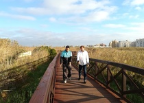 L’Ajuntament de Peníscola restaura la passarel·la de fusta ubicada a la marjal