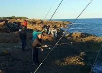 L’Ajuntament de Peníscola intercedeix pels drets dels pescadors en el litoral de la Serra d’Irta, davant la Generalitat