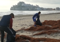 Els veïns i veïnes de Peníscola es bolquen amb la jornada de residus en les seues platges