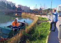 L’Ajuntament de Peníscola avança en les tasques de rutina de desbrossament de la marjal i la zona de l’Ullal