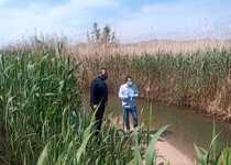 L’Ajuntament de Peníscola programa el dragat del sistema de séquies de la marjal per evitar inundacions