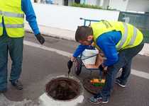 Des del mes de març passat, l'àrea de Medi Ambient està coordinant els treballs de les empreses especialitzades en matèria de control de plagues