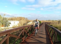 L'Ajuntament de Peníscola intervé en la neteja de la marjal i demana a la Generalitat doble passarel·la de fusta per al recorregut mediambiental que porta a la zona escolar