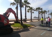 Segueixen a bon ritme els treballs de millora de la jardineria en el Passeig Marítim de Peníscola després dels efectes de la borrasca Glòria