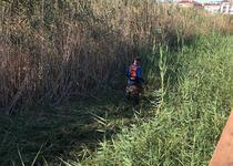 Continúan los trabajos de desbroce en el marjal de Peñíscola