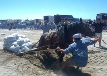 Primeres activitats per obrir boca abans de les Festes Patronals