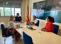 Peníscola s'alia amb Turisme CV per a controlar l'intrusisme en el lloguer d'habitatge d'ús turístic