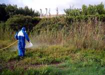 La Regidoria de Medi Ambient de l'Ajuntament de Peníscola continua amb els treballs per al control de plagues 
