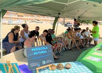 Peníscola programa, amb èxit de participació, activitats de divulgació i conscienciació mediambiental al costat de la platja aquest estiu
