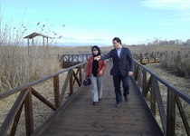 Millores en la passarel·la del nord de la Marjal