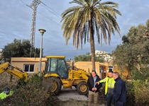 L'Ajuntament de Peníscola inicia els treballs de neteja i desbrossament del Càmping Bellavista