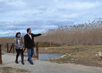 L’Ajuntament de Peníscola neteja i desbrossa la marjal abans de la temporada turística