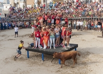 Les Ames de Casa donen començament a la festa taurina a Peníscola 