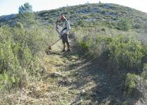 La Brigada del Parc Natural de la Serra d’Irta adequa senderes per a la Volta a Peu