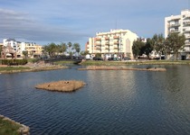 L’Ajuntament de Peníscola desbrossa la Marjal i l’ullal de l’Estany 