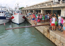 Vesprada aquàtica a Peníscola