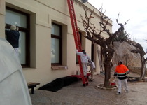 Les àrees de Cultura i Serveis de l’Ajuntament de Peníscola condicionen el Museu de la Mar