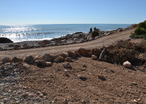 L'Ajuntament de Peníscola reitera a la Generalitat la necessitat d'actuar en la neteja, desbrossament i adequació de camins rurals en la Serra d’Irta