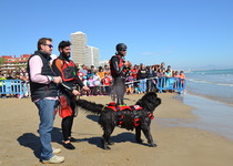 Peníscola compta ja amb una delegació oficial de la unitat de rescat caní en platges Mare Nostrum