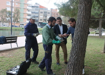 L’Ajuntament de Peníscola finalitza els tractaments de prevenció per a la processionària