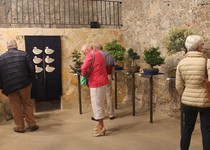 Peníscola acull aquest pont una exposició de bonsais