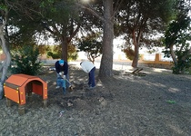 L’Ajuntament de Peníscola ultima els treballs per a l’obertura del parc caní