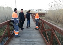 L’Ajuntament de Peníscola avança en les tasques de rutina de desbrossament de la marjal i de la zona de l’ullal